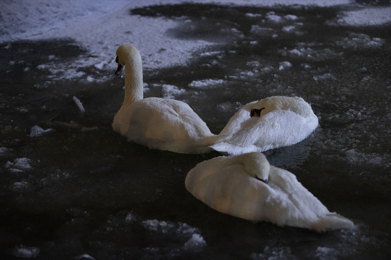 ANKARA BEYAZA BÜRÜNDÜ