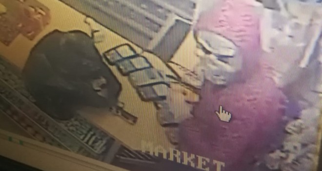 Sakar hırsızlar...