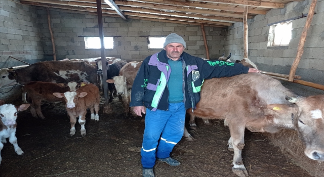 Develi Belediyesi, çiftçinin kaybolan ineklerini drone yardımıyla buldu