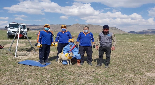 Niğde’de boş su kuyusuna düşen kuzuyu AFAD kurtardı