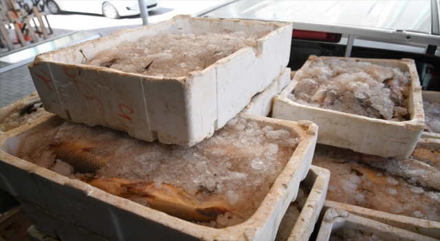 Kayseri’de kaçak avlanan 1250 kilogram sazan ve yayın balığı ele geçirildi