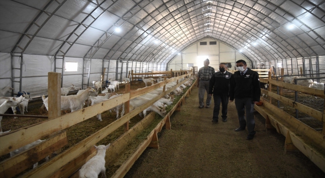 Kayseri Tarım ve Orman Müdürü Şahin’den küçükbaş hayvan işletmesine ziyaret