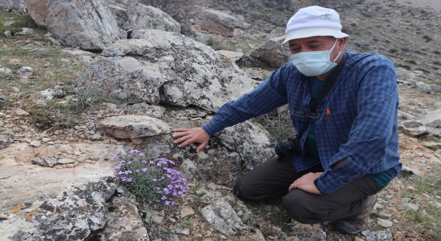 Karamanlı doğasever, bahçesinde yetiştirdiği endemik bitkileri dağlara ekiyor