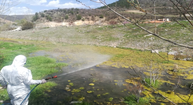 Kızılcahamam Belediyesi haşerelerle mücadele çalışmalarına aralıksız devam ediyor