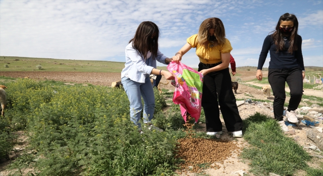 Çubuk’ta ”tam kapanma” günlerinde sokak hayvanları unutulmuyor