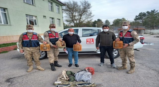 Sivas’ta kaçak keklik avlayan kişiye 7 bin lira ceza