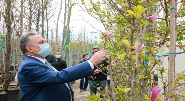 Talas Belediyesinden 10 bin metrekare fidanlık