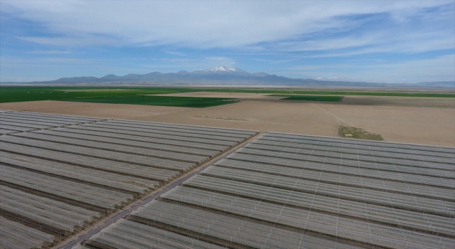 Kayseri Tarım ve Orman Müdürü Şahin’den elma üreten işletmeye ziyaret