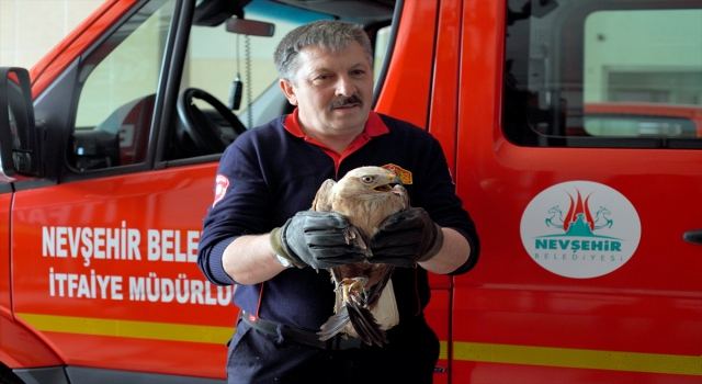 Nevşehir’de binanın havalandırma boşluğuna sıkışan şahin itfaiye ekiplerince kurtarıldı