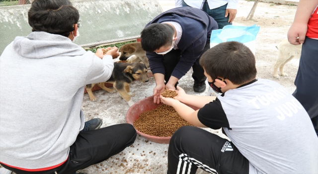 Ankara’da engelli sporcular, harçlıklarıyla aldıkları mamalarla sokak hayvanlarını besledi