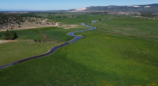 Toroslar’da baharla yeşile bürünen yaylalar bir başka güzel