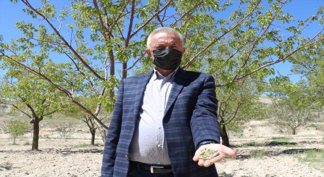 14 Mayıs Dünya Çiftçiler Günü