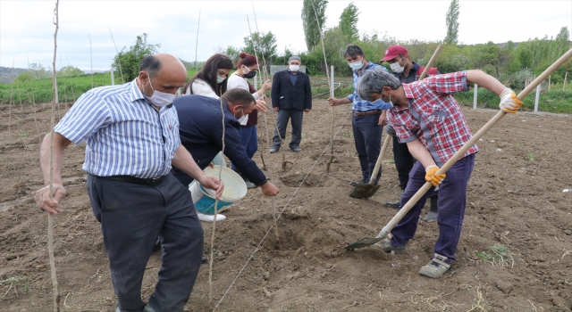 Yozgat’ta tarım ve mera alanları kısıtlı çiftçiler, devlet desteğiyle ipek böceği kozası yetiştiriyor