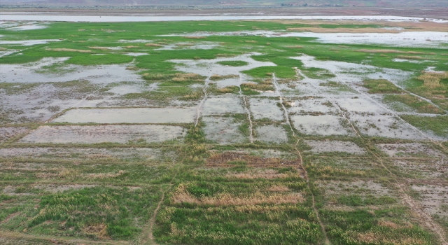 Çankırı’da HES kanalında duvar çökmesi sonucu tarım arazileri zarar gördü
