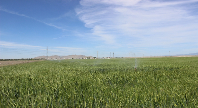 Karapınar’da kuraklık nedeniyle yeraltı suyu kullanımı arttı
