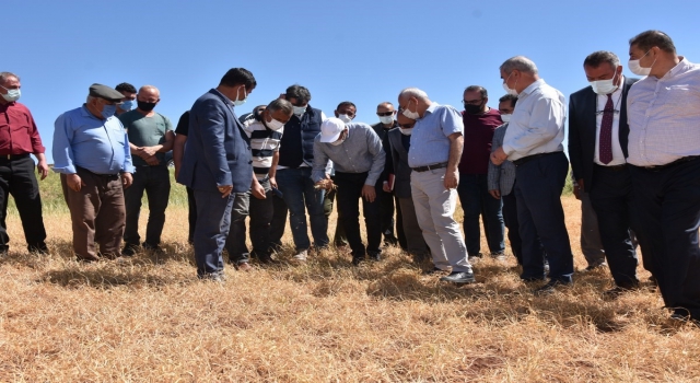 Kırıkkale Valisi Sezer, kuraklıktan etkilenen arazileri inceledi