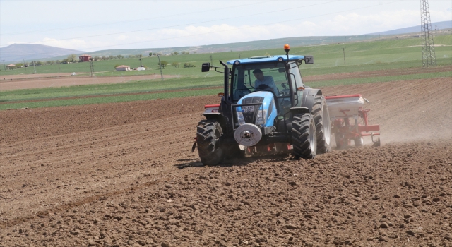 Yozgat’ta şeker pancarı tohumları toprakla buluşturuldu
