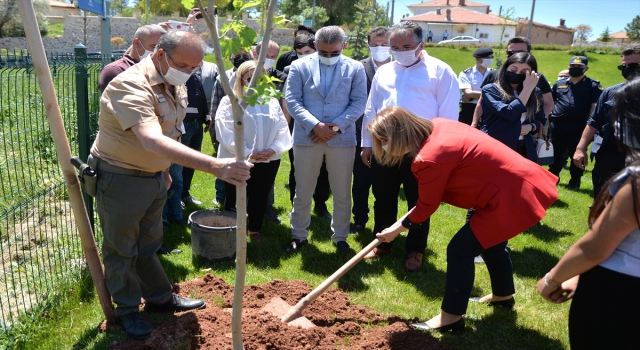 ”Hacı Bektaş Veli Yılı” etkinlikleri kapsamında 500 fidan toprakla buluşturuldu