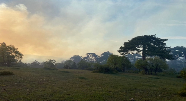 Eskişehir’de ormanlık alanda yangın çıktı