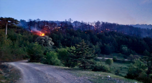 GÜNCELLEME 2 Eskişehir’de ormanlık alanda çıkan yangın kontrol altına alındı