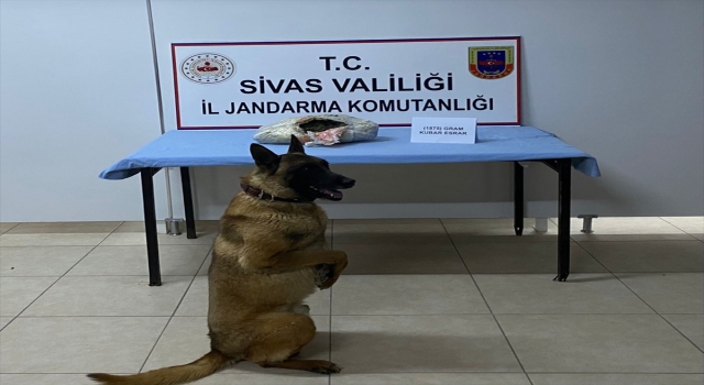 Sivas’ta yolcu otobüsünde uyuşturucuyla yakalanan 3 kişi gözaltına alındı