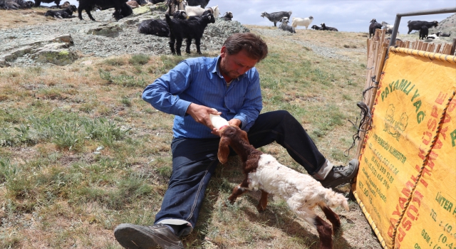 Sarıkeçili Yörükleri’nin zorlu göçü devam ediyor