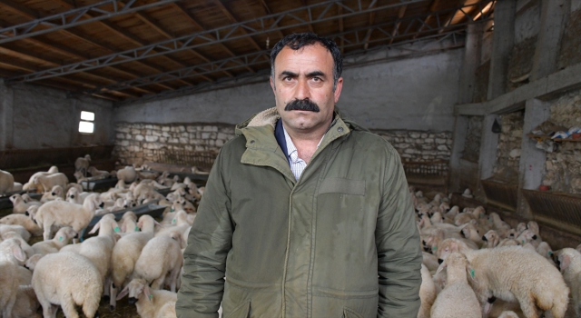Sivas’ta bir besici devlet desteğiyle sürüsünü 8 kat büyüttü