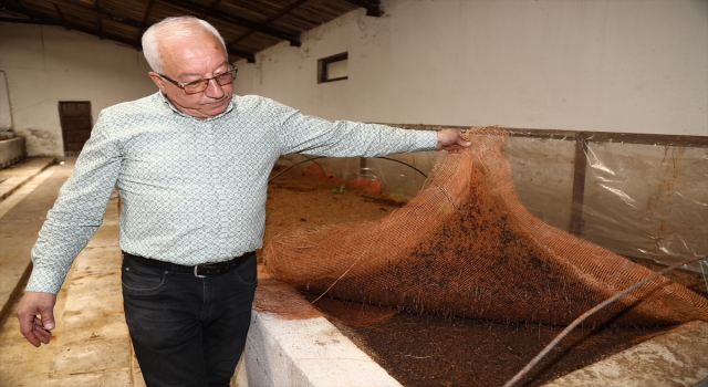 Sıfır Atık Projesi sayesinde solucan gübresi üretmeye başladı