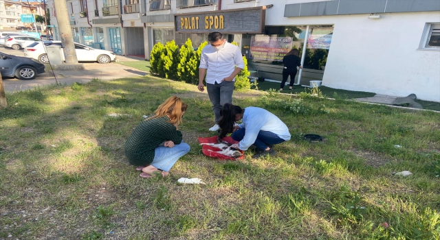 Sivas’ta bıçaklanarak öldürülmüş bir kedi yavrusu bulundu