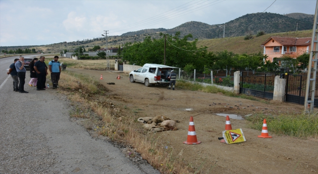 Kırıkkale’de elektrik akımına kapılan 15 koyundan 4’ü telef oldu
