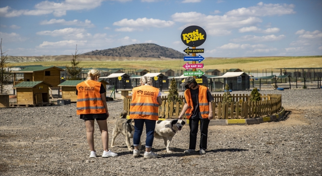 Başkentte hayvanseverlerin inşa ettiği 1000 köpek kapasiteli ”Patipark” açıldı