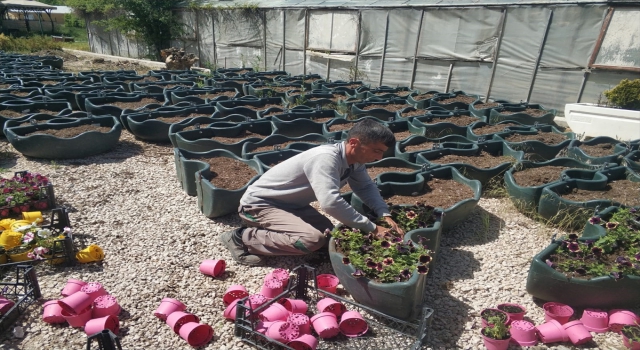 Kızılcahamam’da çiçeklendirme çalışması yapıldı