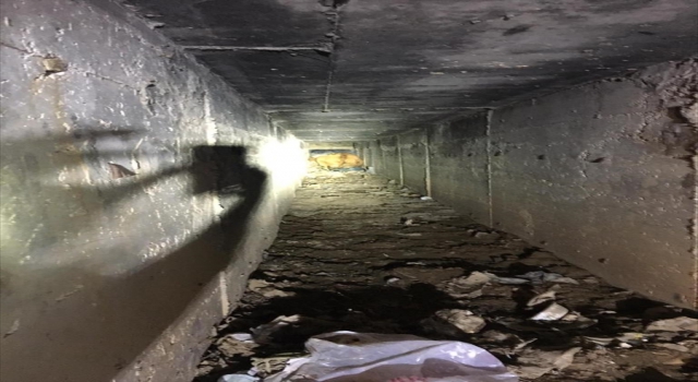 Kayseri’de menfeze sıkışan ineği itfaiye kurtardı