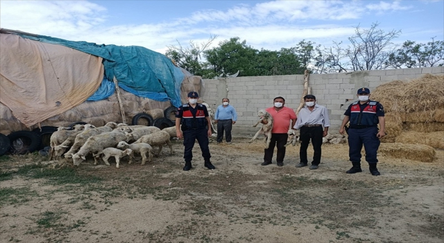 Eskişehir’de küçükbaş hayvan çaldıkları iddia edilen 3 şüpheliden biri tutuklandı