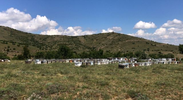 Kırşehir’de KOP desteğiyle arı üreticilerine eğitim ve ekipman desteği sağlandı