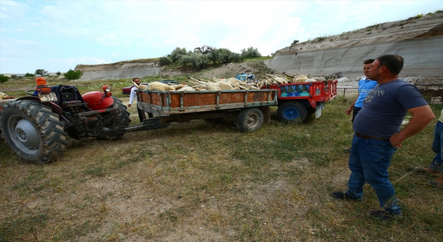 Nevşehir’de tavanı çöken ağıldaki 58 küçükbaş hayvan telef oldu