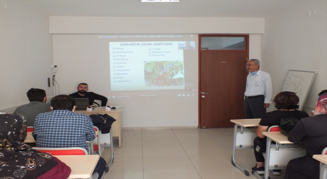 Ulaş’ta çilek yetiştiriciliği kursu açıldı