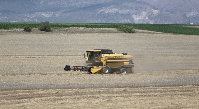 Eskişehir’de son günlerde etkili olan yağışlar hububat üreticisinin yüzünü güldürdü