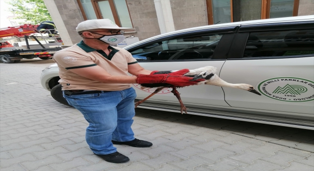 Konya’da yuvasından düşen yaralı yavru leyleği itfaiye kurtardı