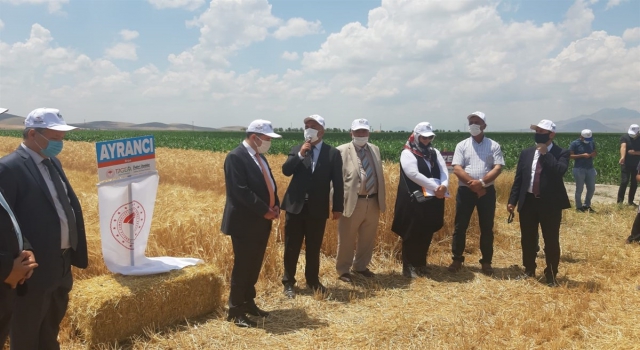 Karaman’da kurağa dayanıklı çeşitlerin tanıtılması için tarla günü düzenlendi