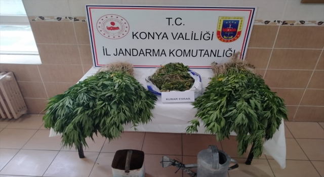 Konya’da jandarmadan uyuşturucu operasyonu