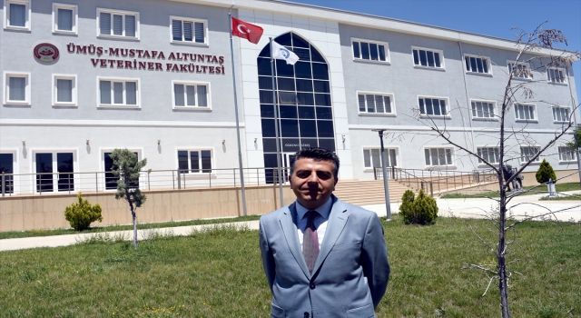 Popülasyondaki artış ve besin azlığı Tuz Gölü’nde yavru flamingo kayıplarına neden oluyor
