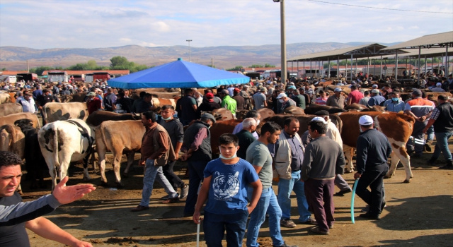 Şarkışla Canlı Hayvan Pazarı’nda yoğunluk arttı