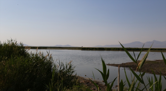 TBMM Küresel İklim Değişikliği Araştırma Komisyonu, Akgöl Sazlığı ve Meke Gölü’nde inceleme yaptı