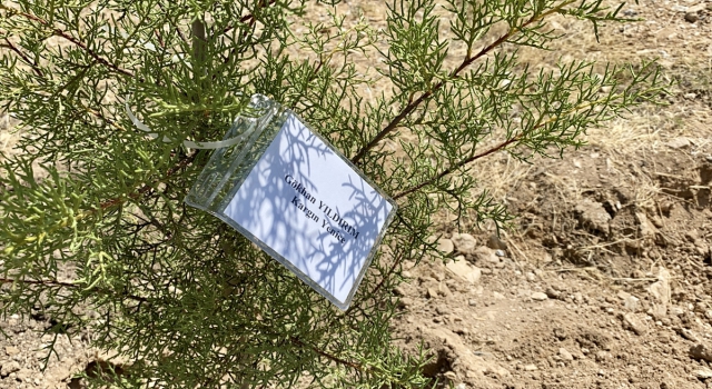 Kırşehir’de 15 Temmuz şehitlerinin hatıraları ormanda yeşerecek