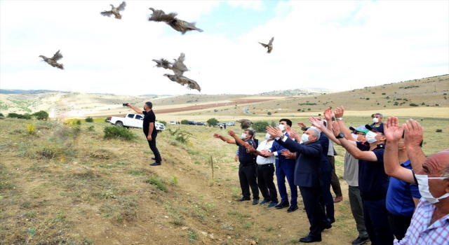 Kırşehir’de yaban hayatı çeşitliliğinin korunması için 425 kınalı keklik doğaya bırakıldı