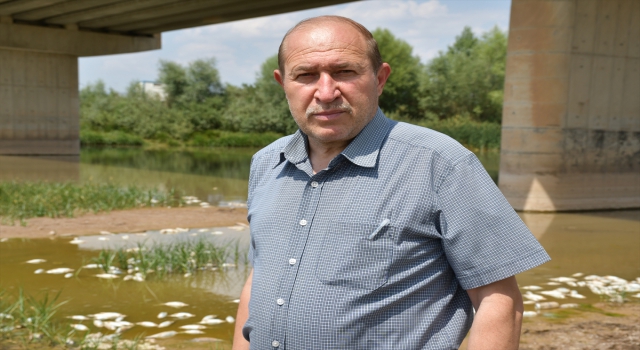 Kızılırmak’taki balık ölümlerinin ”sudaki oksijen yetersizliği”nden kaynaklandığı belirlendi