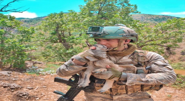 Mehmetçik, yavru ceylana sahip çıktı