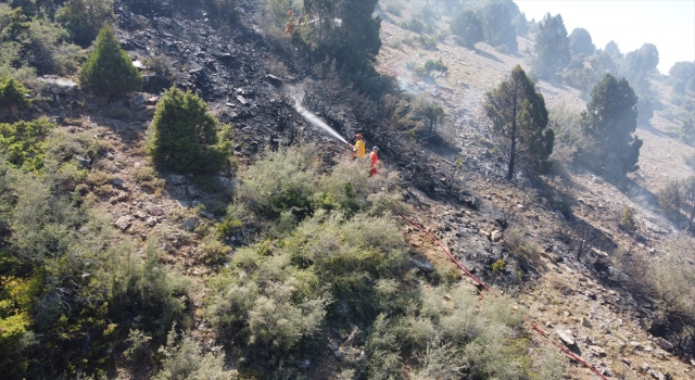 Beyşehir’de ormanlık alanda çıkan yangın söndürüldü