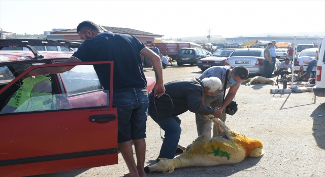İç Anadolu’da Kurban Bayramı kutlanıyor